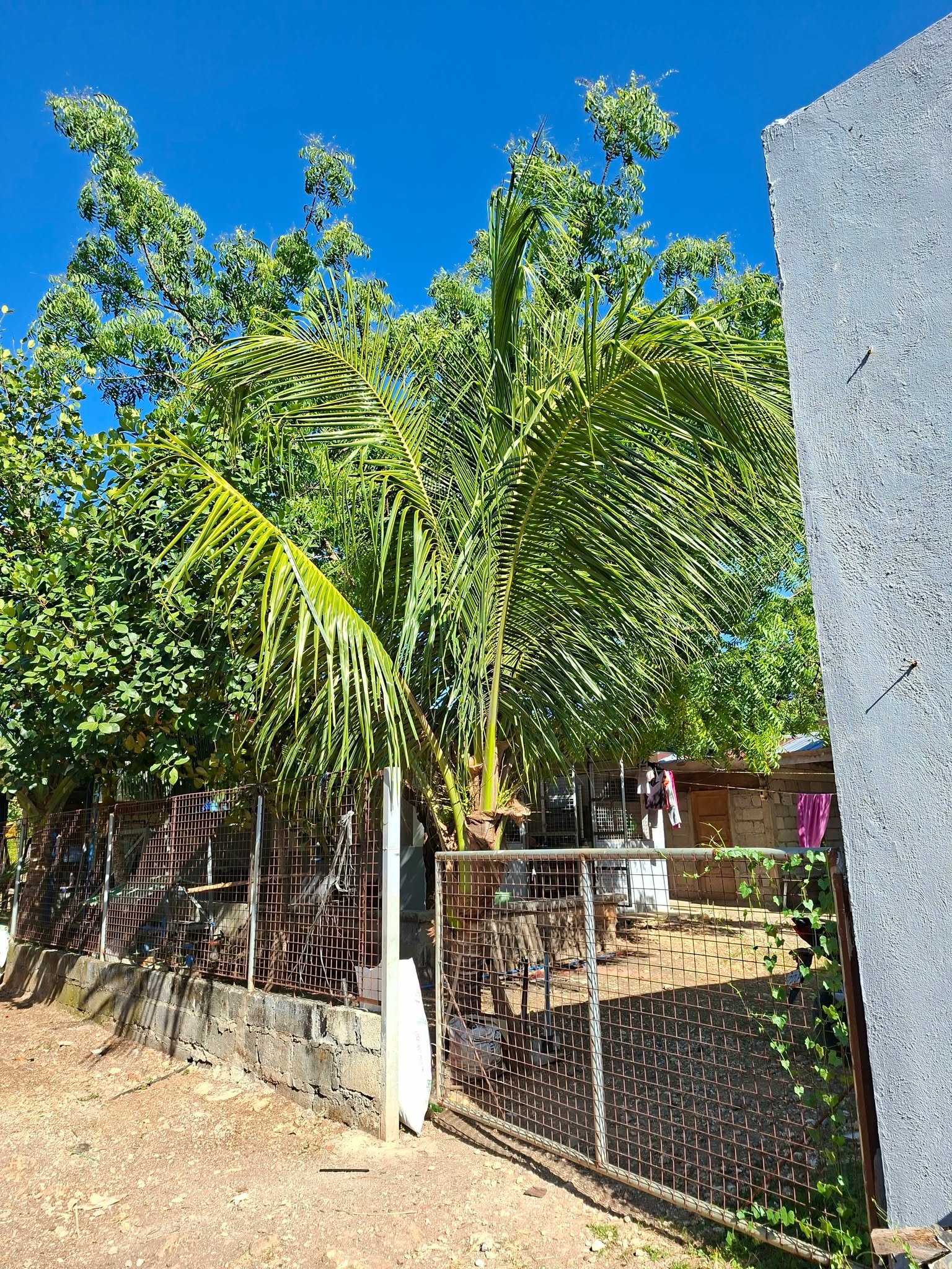 Main Entrance with Gate